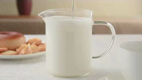 Капучинатор (вспениватель молока) KJBQ-1-BS